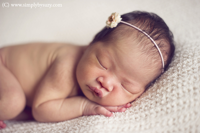 chicago newborn baby photographers