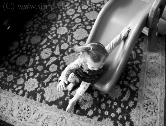 top family photographers in chicago