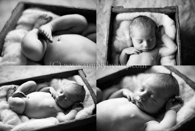 top newborn photographers in chicago