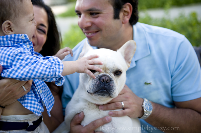 chicago baby & family photography