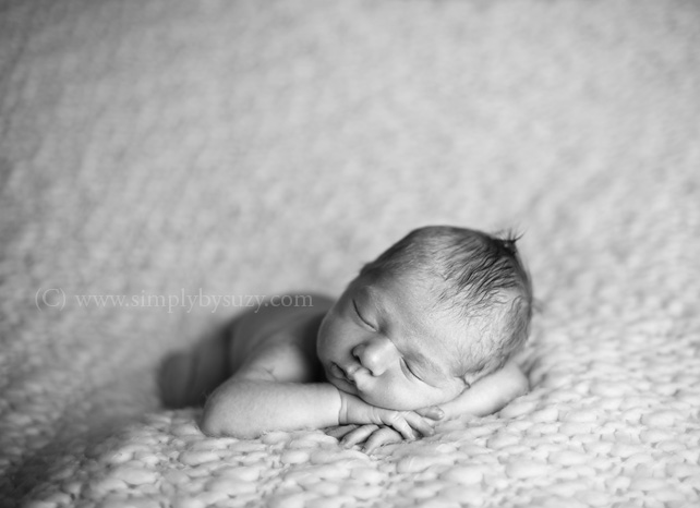 chicago newborn baby photography