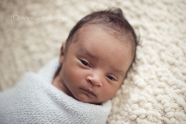 chicago newborn baby photography