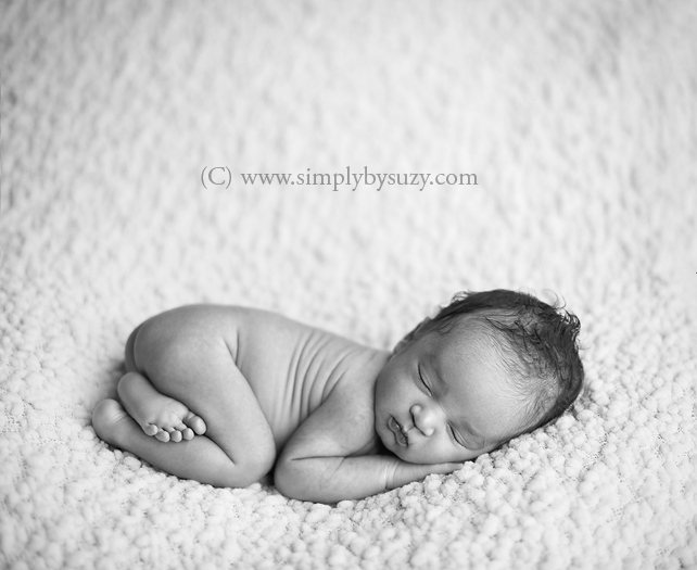 chicago newborn baby photographers