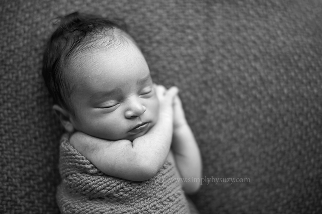 chicago newborn photography