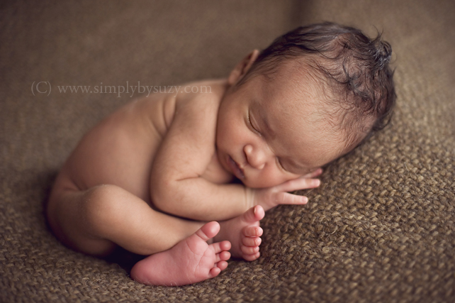 top baby photographers in chicago 