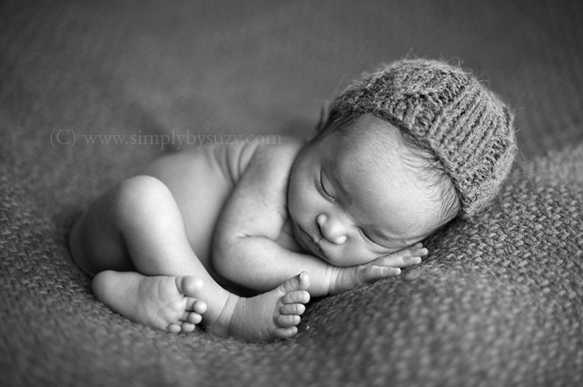 chicago baby photography