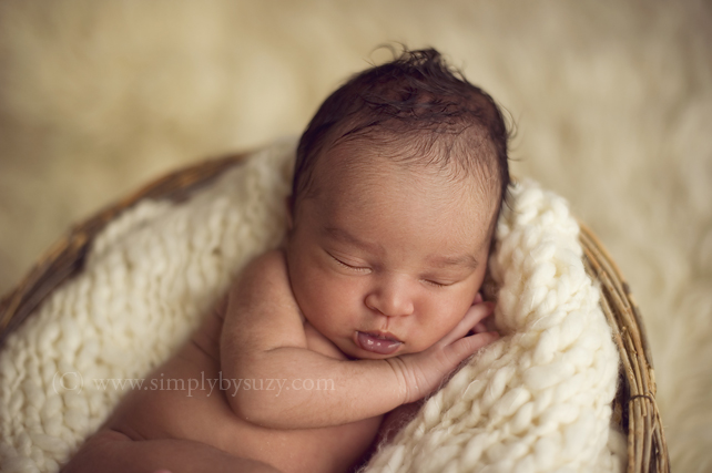 chicago newborn baby photographers