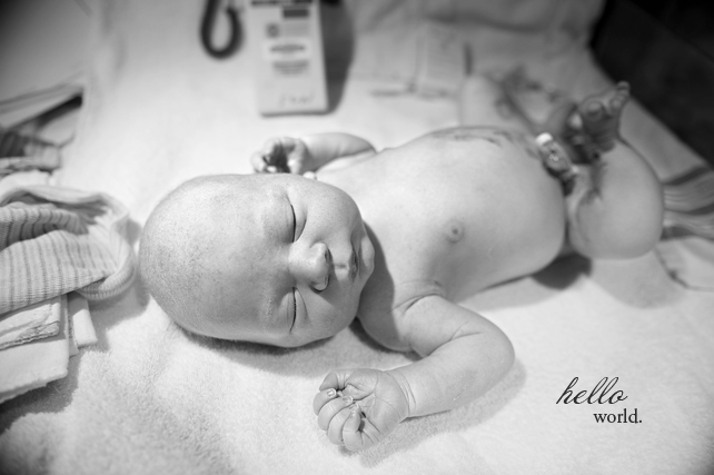 top chicago birth photography