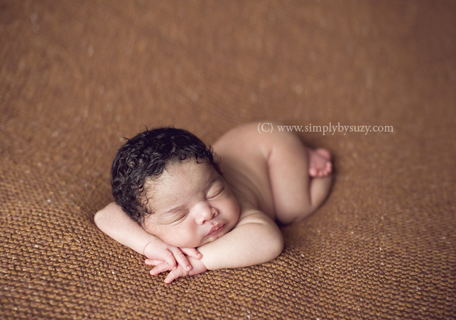 chicago newborn photographers