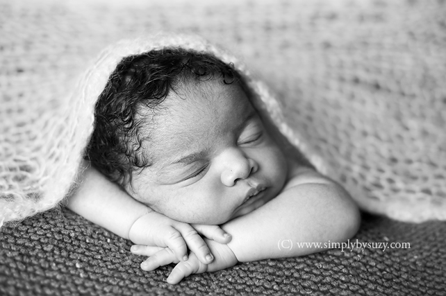 top chicago baby photographers