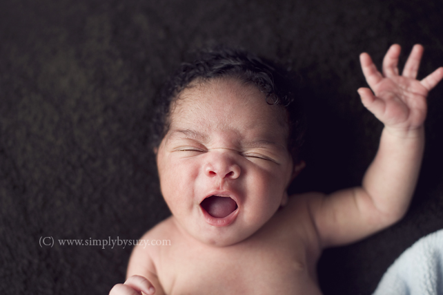 chicago newborn photography