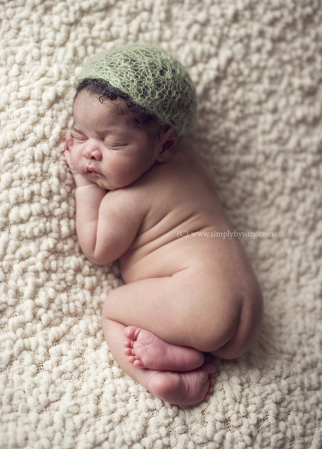 top newborn photographers in chicago