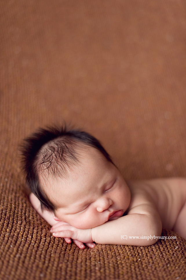 top chicago newborn baby photographers