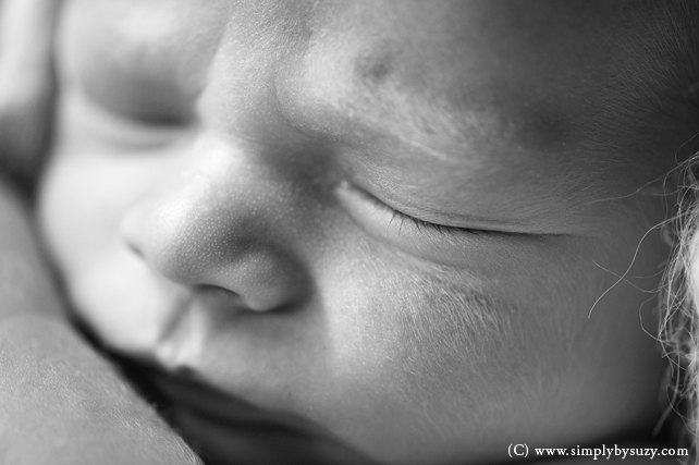 best newborn baby photographers in chicago