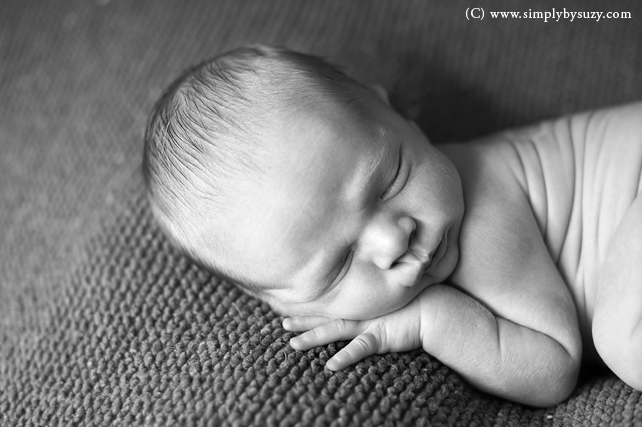 chicago newborn photographers