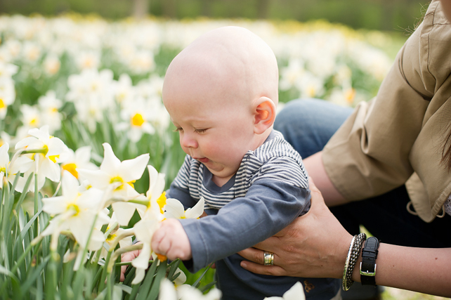 top baby photographers in chicago