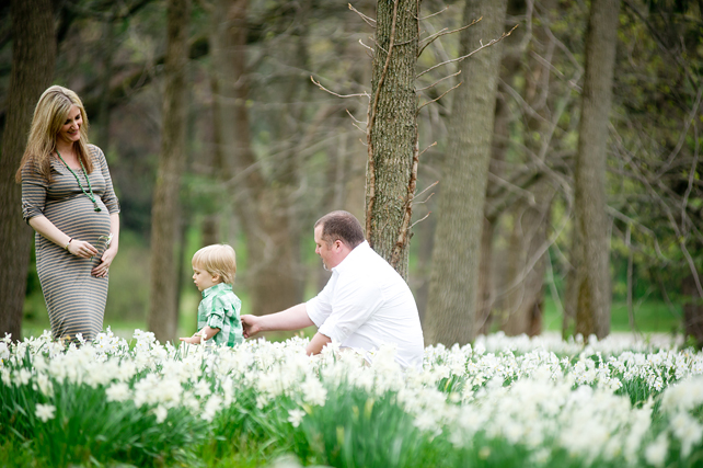 chicago family photographers