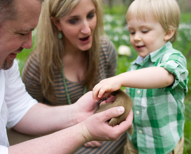 chicago family photographers