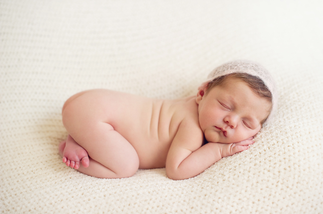 best newborn photographers in chicago