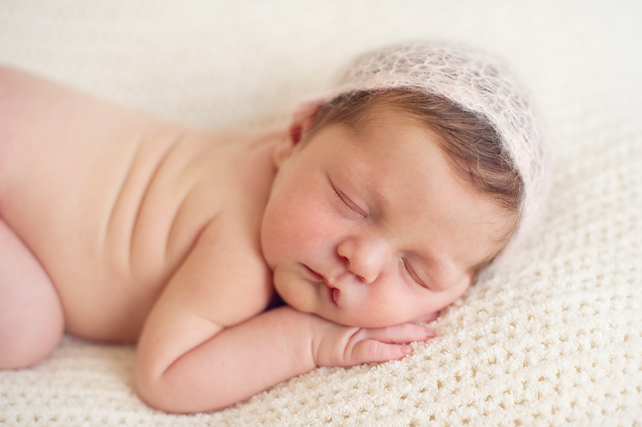 top newborn photographers in chicago