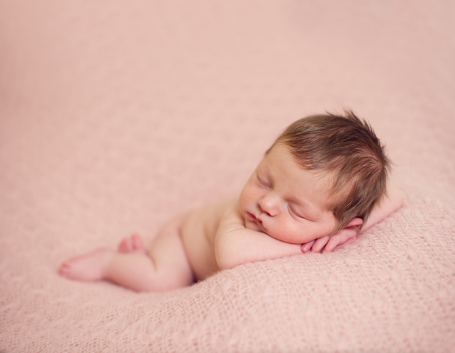 chicago newborn photographers