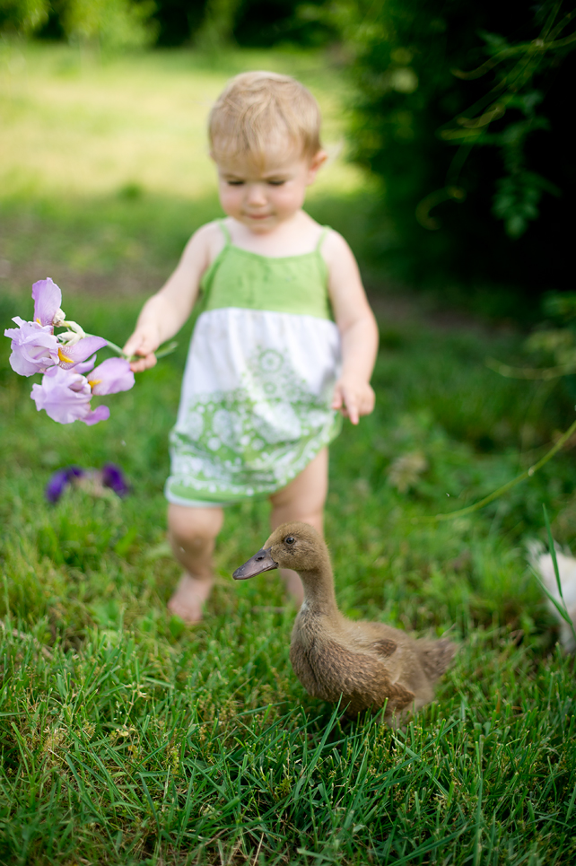 chicago child photographers