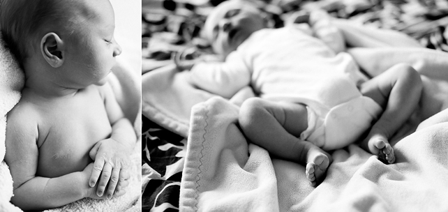 chicago newborn photographers