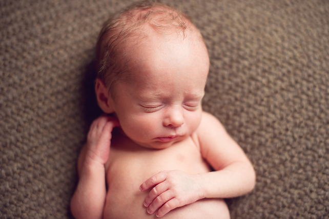 infant photographers in chicago