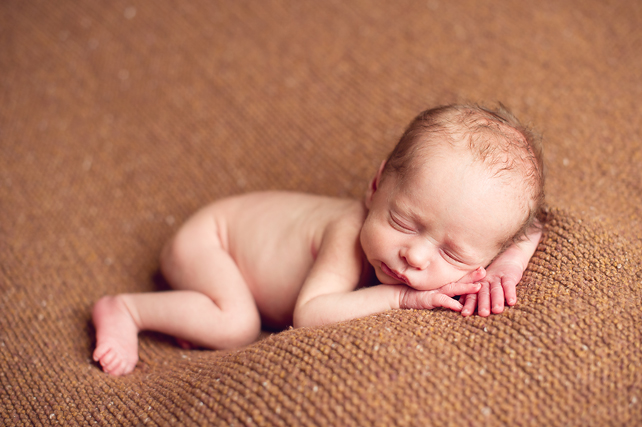 chicago infant photographers