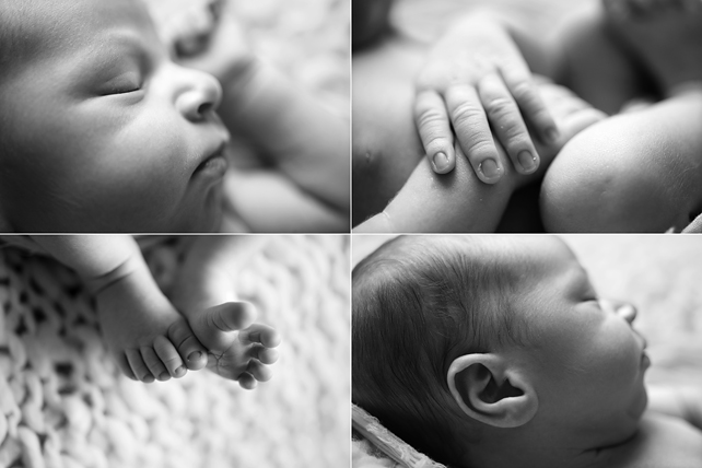 fine-art baby & family photographers in chicago 