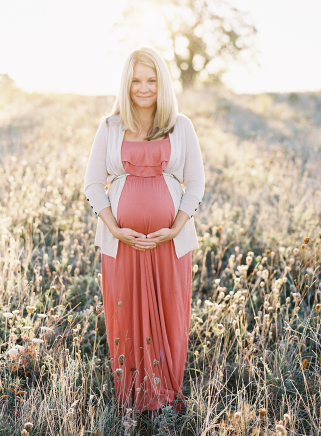 maternity photographers in chicago 