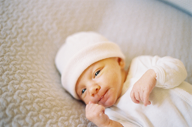 chicago newborn photography