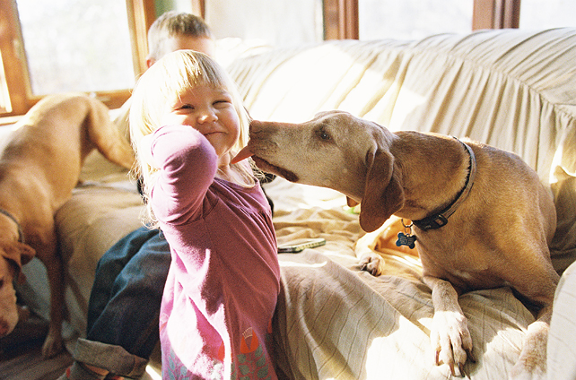 chicago family photography session