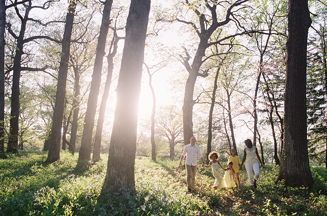 chicago family photographers