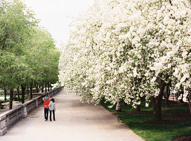 family photographers in chicago