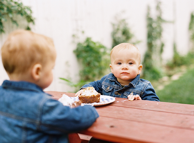 chicago family photographers