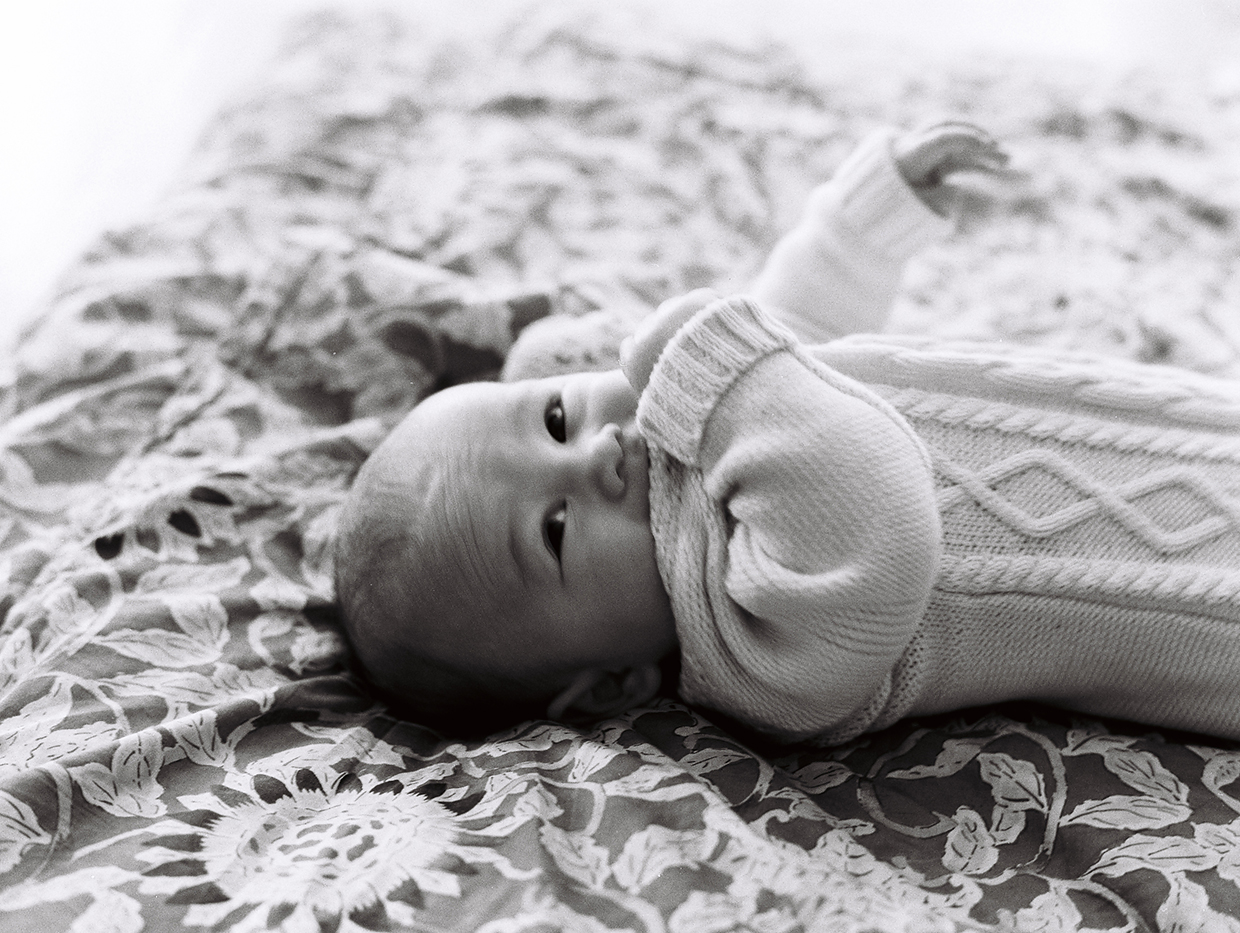 best newborn photographers in chicago